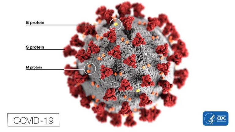 A group of researchers use a video game to fight the coronavirus