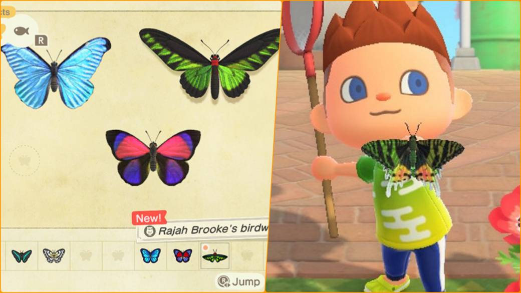 Animal Crossing: New Horizons: All the critters available to hunt in April [2020]