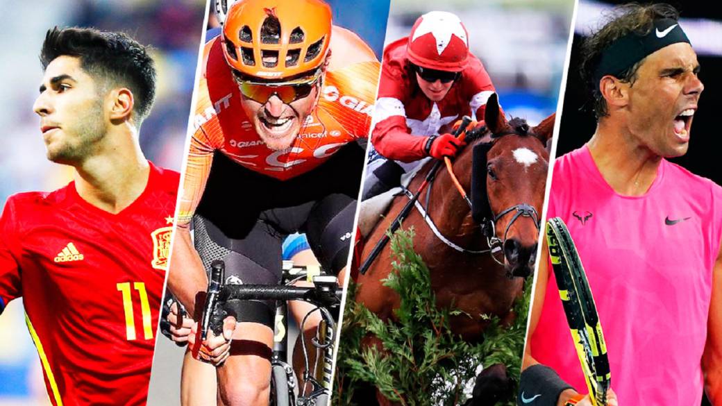 The rise of virtual sports: soccer, cycling, tennis, basketball, horse riding ...