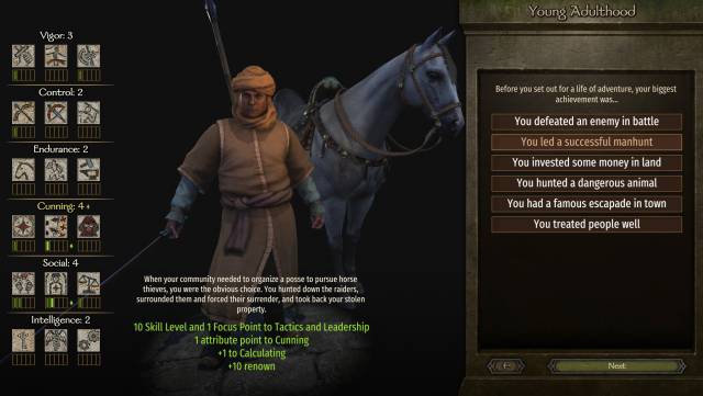bannerlord, mount & blade 2, pc, steam