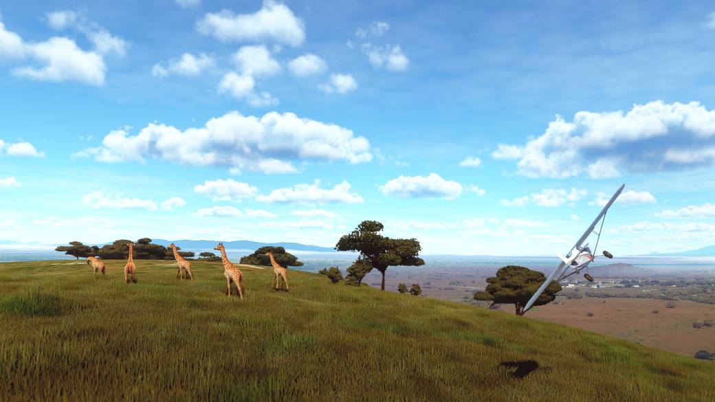 Microsoft Flight Simulator - A user captures wildlife in motion