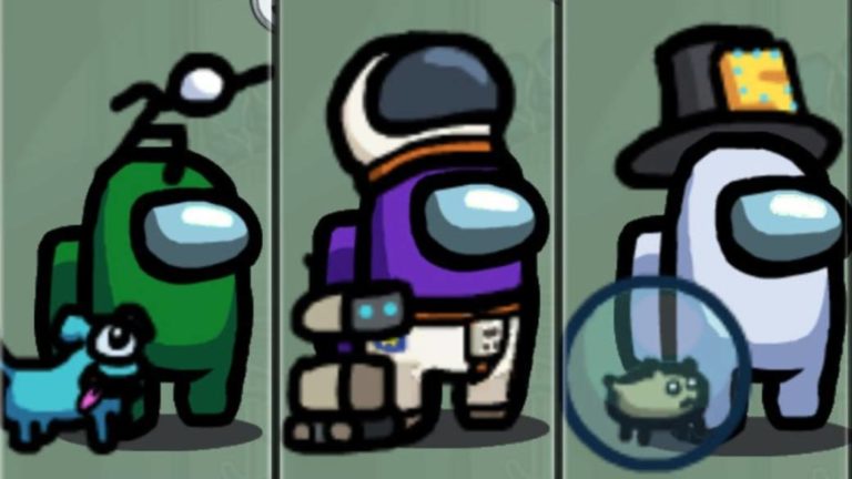 Among Us !: all skins, pets and hats; how to get them