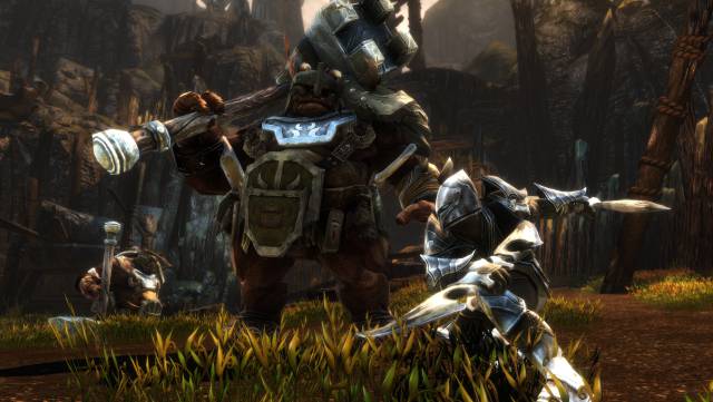 Kingdoms of Amalur: Re-Reckoning steam discount