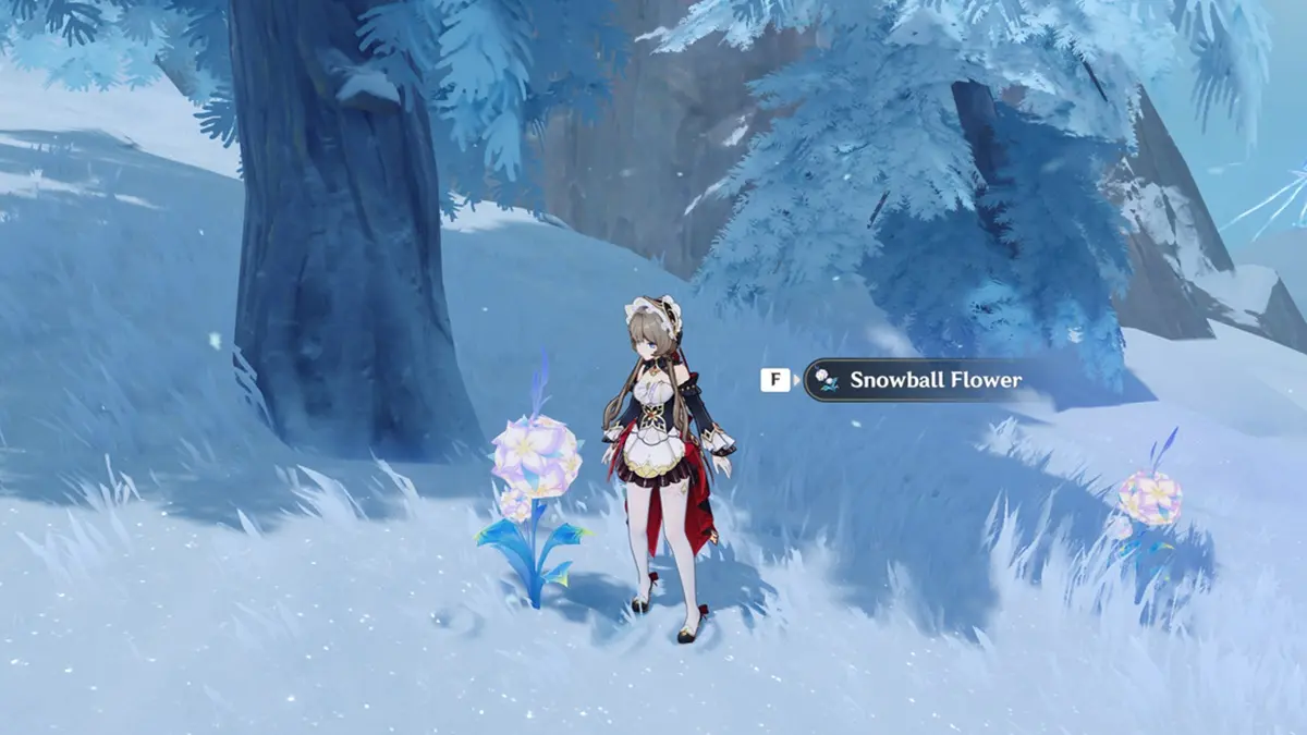 Find All Genshin Impact Snowball Flower Spots & the Ultimate Farm Route