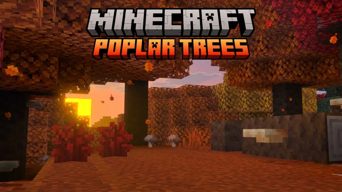How to Find Minecraft Poplar Trees and Use New Wood Blocks